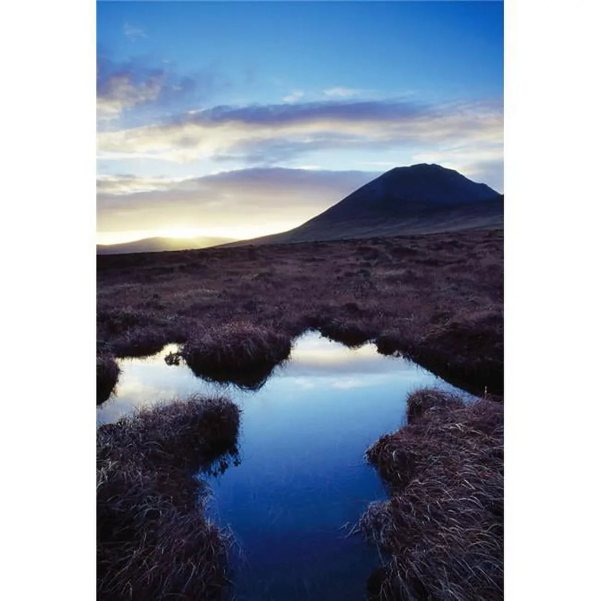 Mount Errigal County Donegal Ireland - Marshland Scenic Poster Print by Gareth McCormack, 12 x 18
