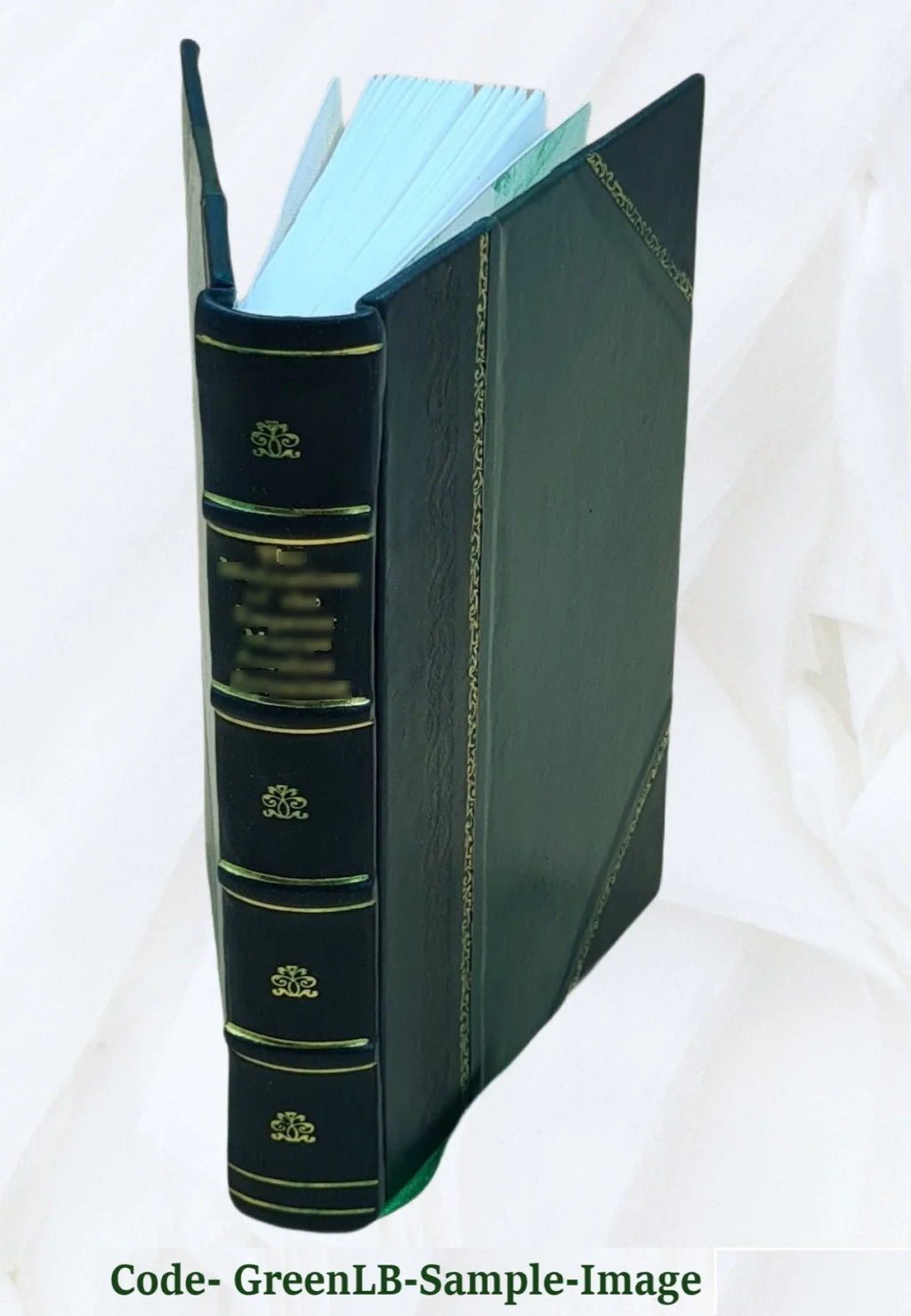 The history of Lord Seaton's regiment the 52nd light infantry at the battle of Fluid Volume 2nd 1866 [Leather Bound]