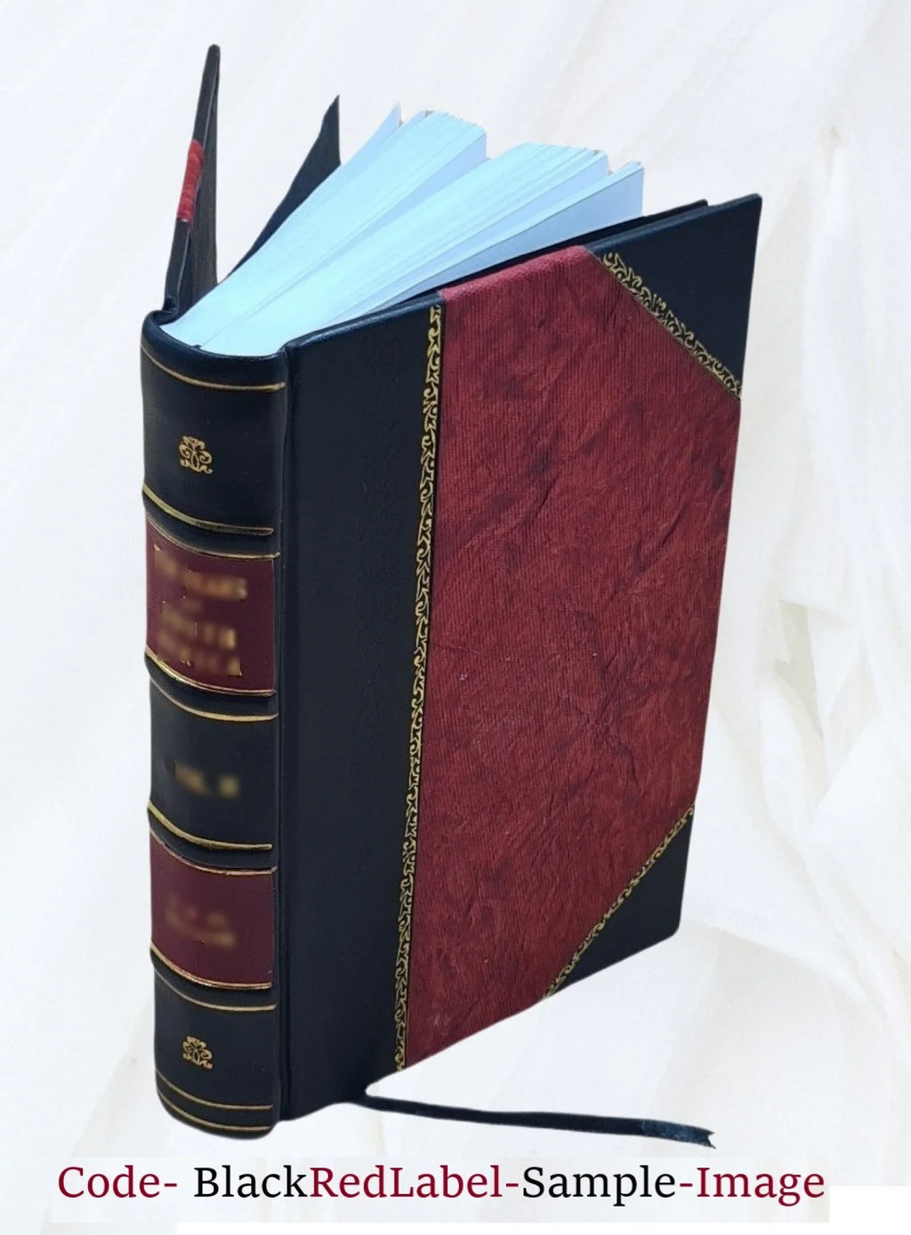 The history of Lord Seaton's regiment the 52nd light infantry at the battle of Fluid Volume 2nd 1866 [Leather Bound]